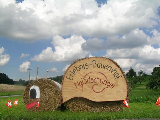Erlebnisbauerhof Winikon – Bild 3
