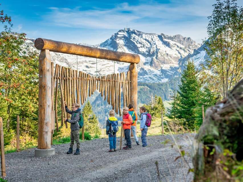 Klangweg im Obertoggenburg – Bild 4