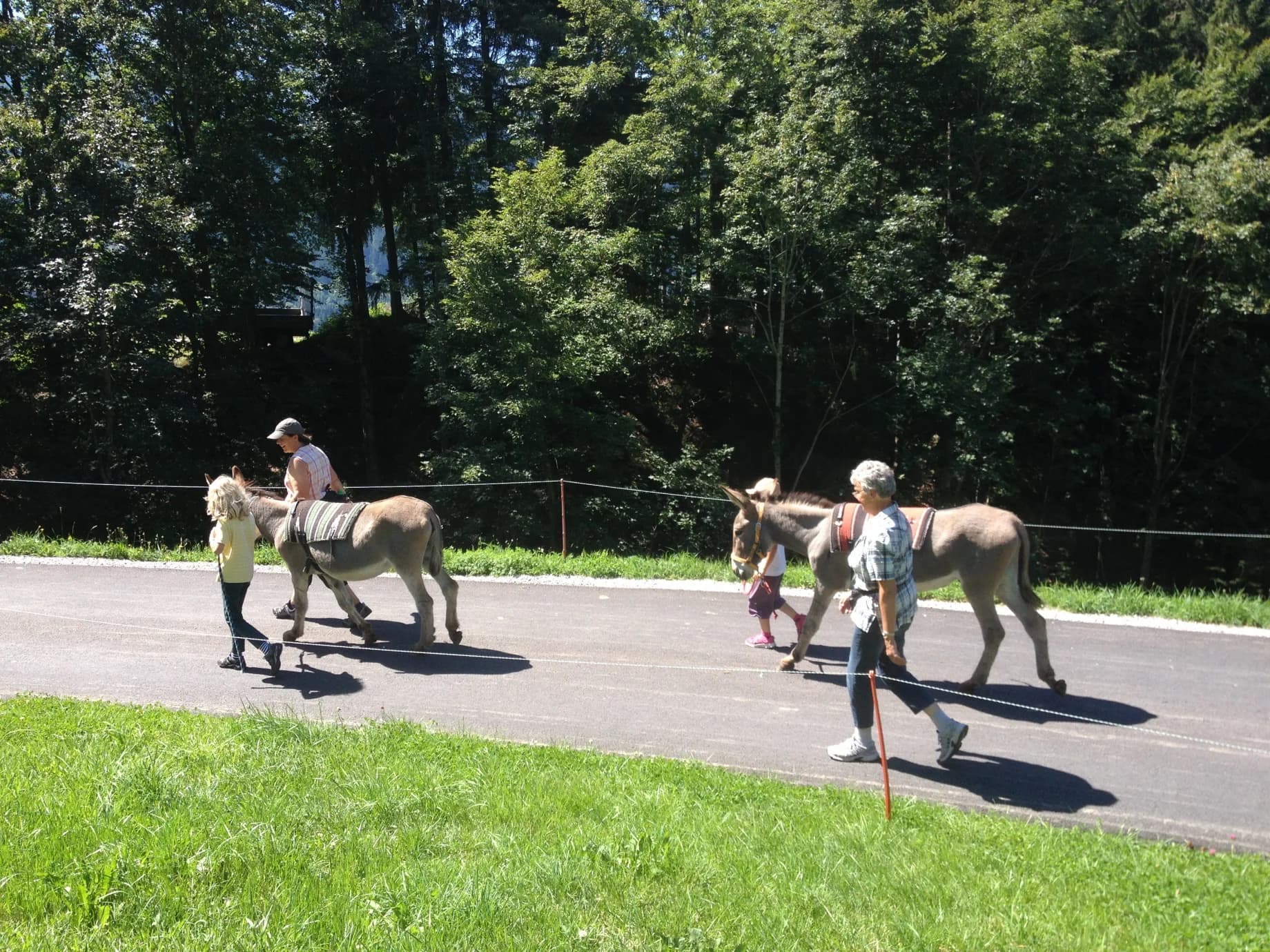 Wandern mit Eseln – Bild 2