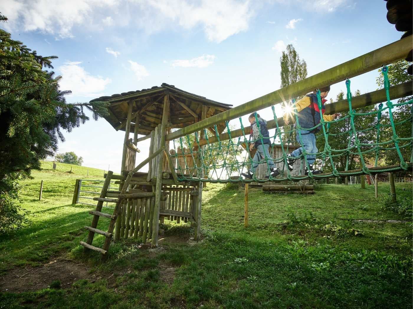 Erlebnisland Grizzlybär – Bild 3
