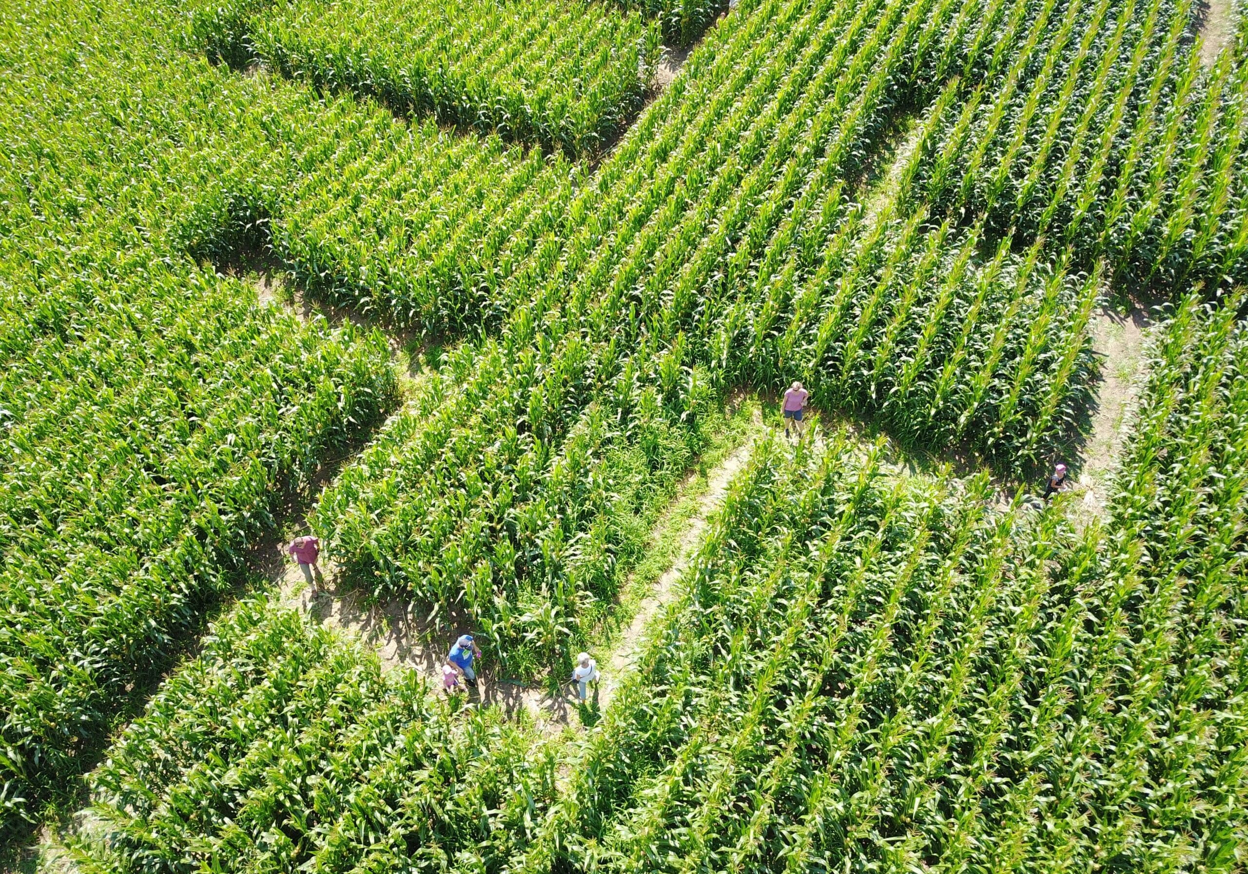 Die Erlebnisoase im Limmattal – Bild 2