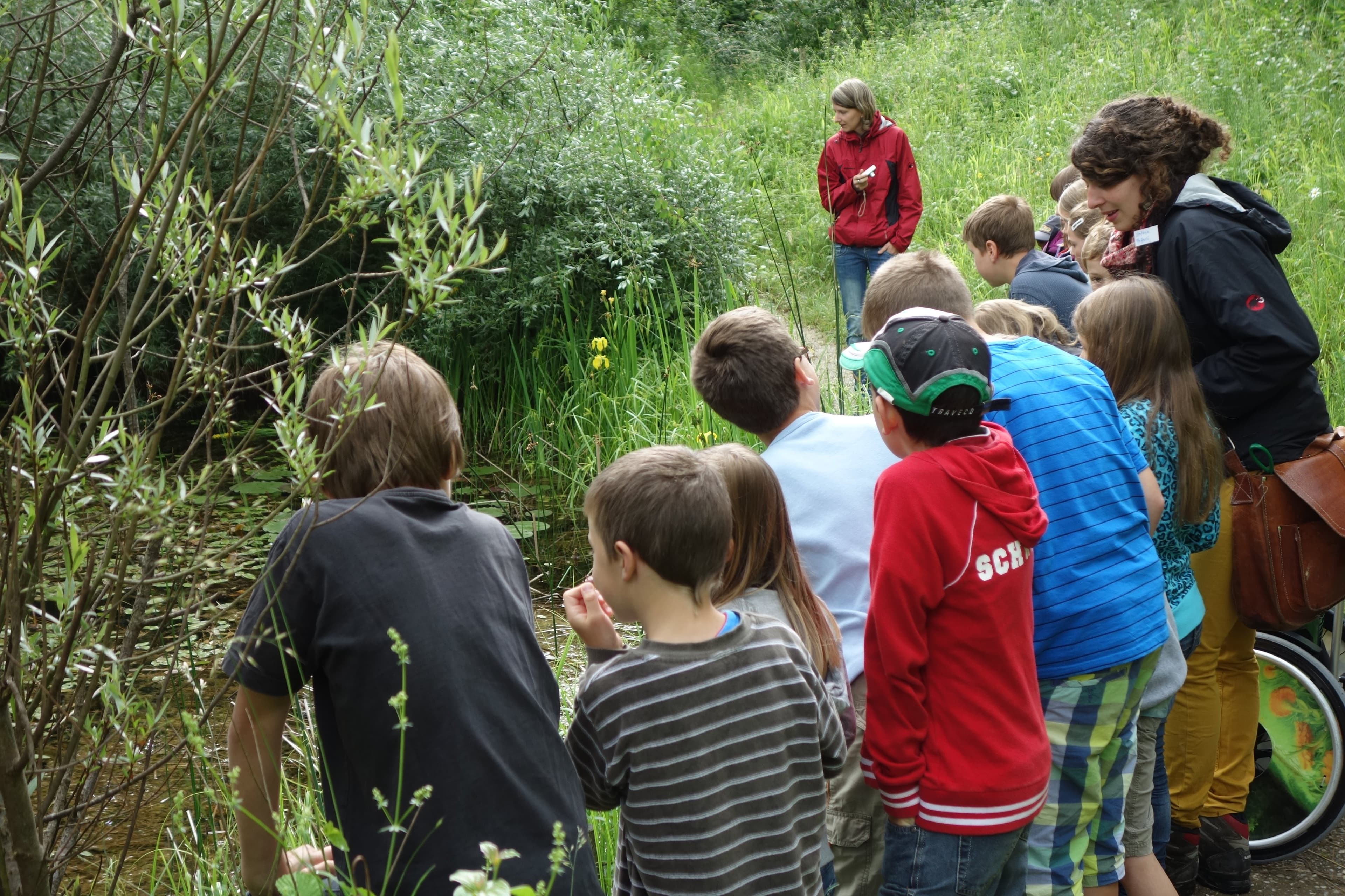 Naturlehrgebiet - Safari vor der Haustür – Bild 2