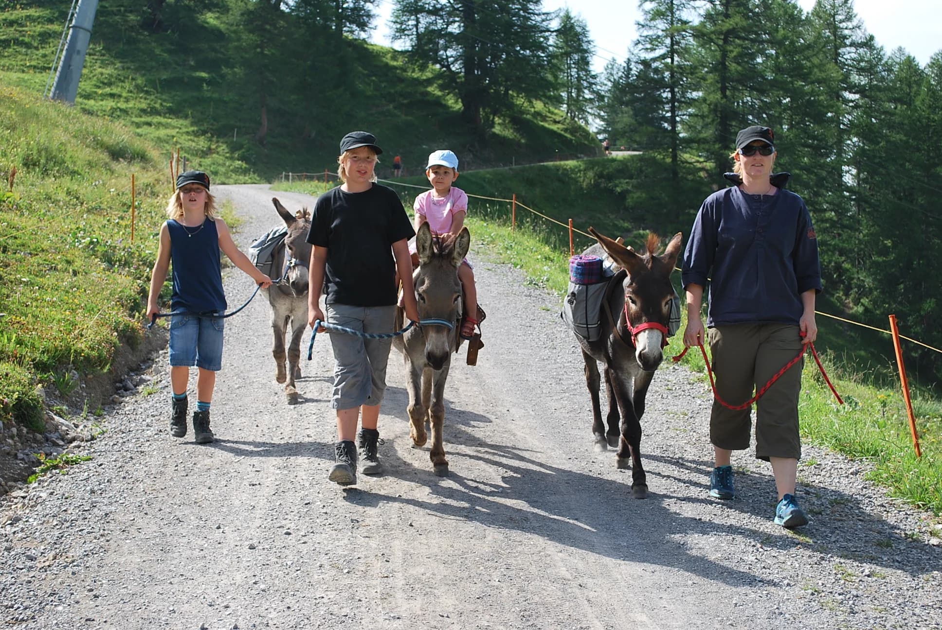 Wandern mit Eseln – Bild 3
