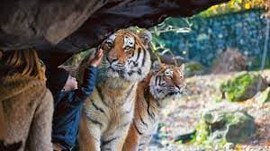 Zoo Zürich – Eine Weltreise an einem Tag – Bild 4