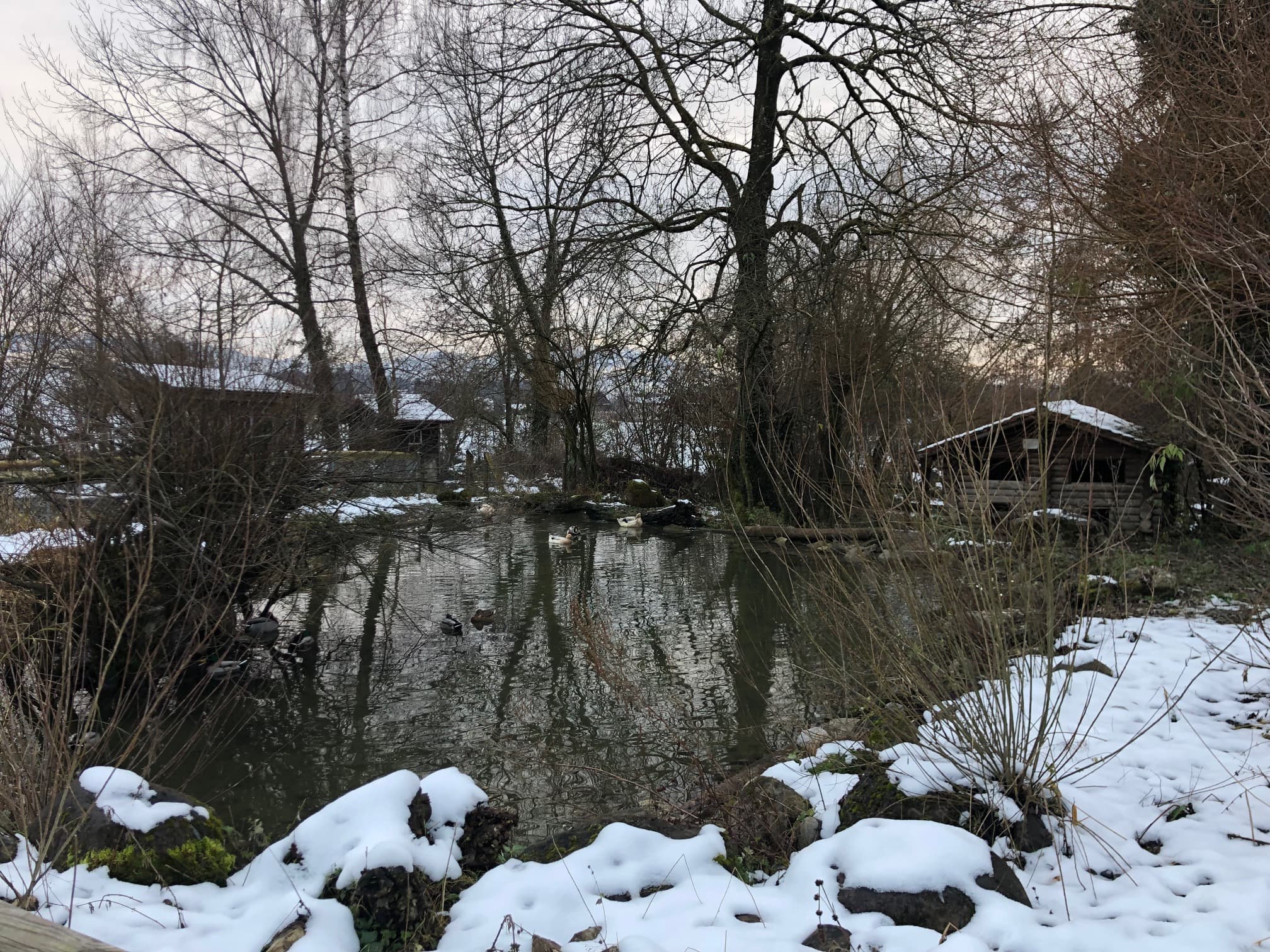 Stiftung Zur Weid – Bauernhof-Idylle und Abenteuer – Bild 6