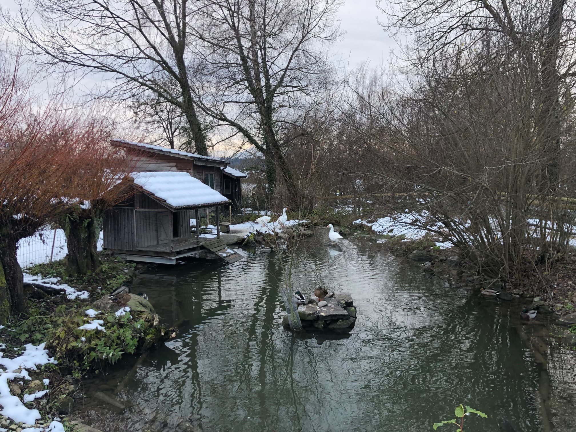 Stiftung Zur Weid – Bauernhof-Idylle und Abenteuer – Bild 7