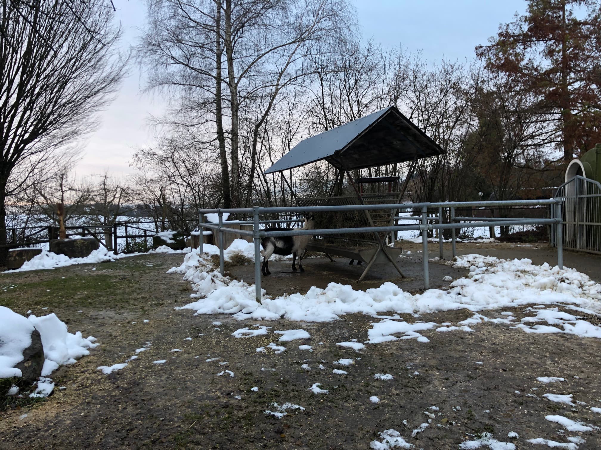 Stiftung Zur Weid – Bauernhof-Idylle und Abenteuer – Bild 8
