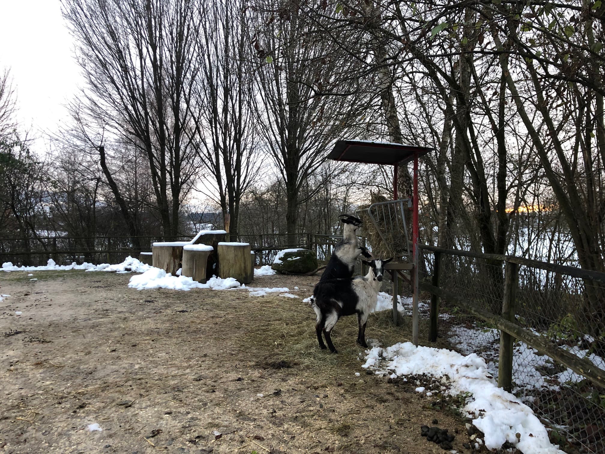 Stiftung Zur Weid – Bauernhof-Idylle und Abenteuer – Bild 9