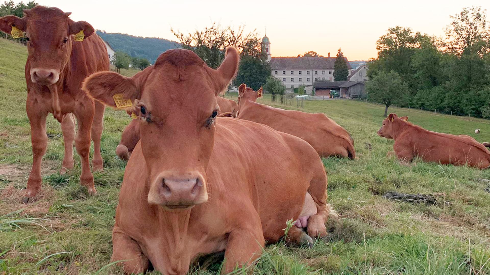 Die Erlebnisoase im Limmattal – Bild 4