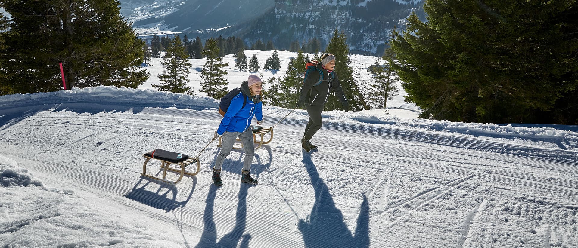Schlittelspass auf der Rigi – Bild 2