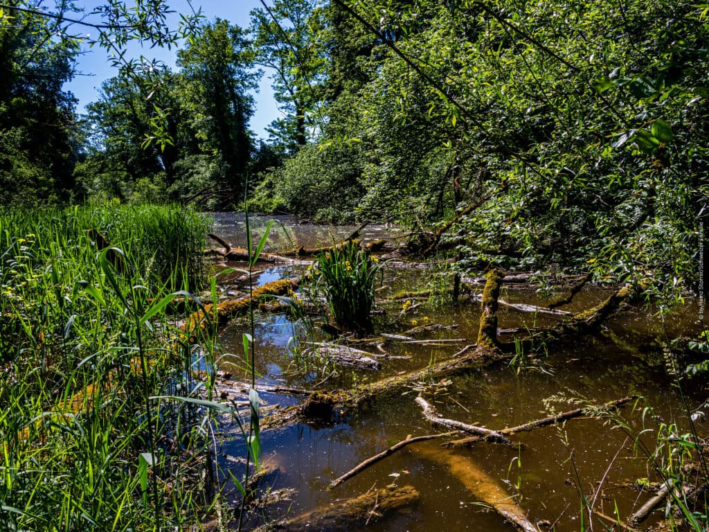 Naturzentrum Thurauen – Bild 1