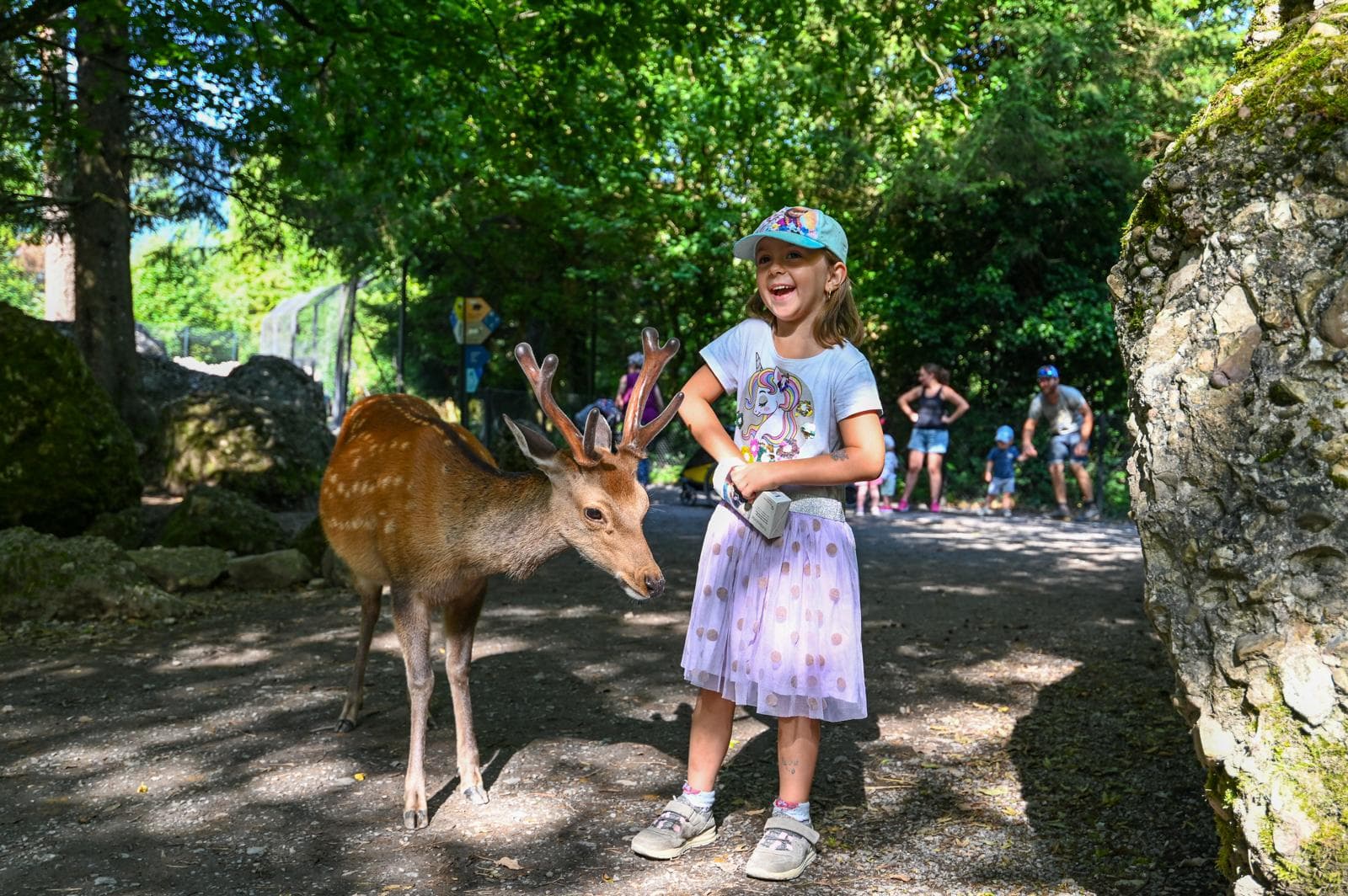 Natur- und Tierpark Goldau – Tiere hautnah erleben – Bild 1