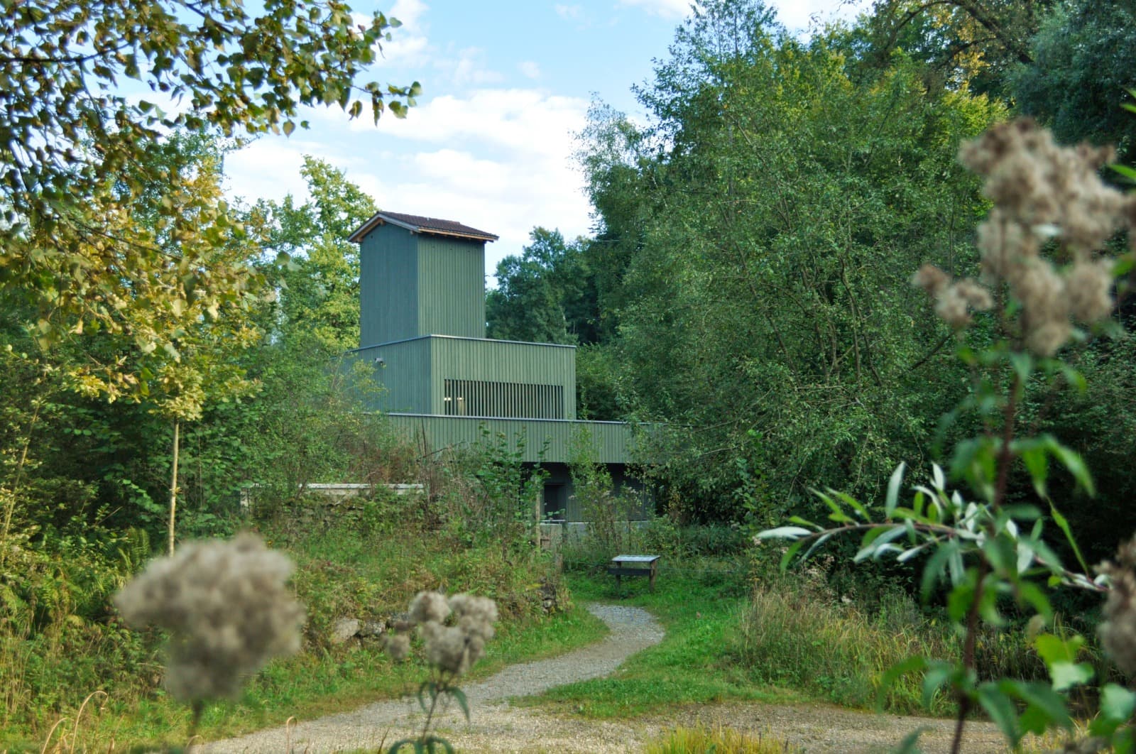 Naturlehrgebiet - Safari vor der Haustür – Bild 4