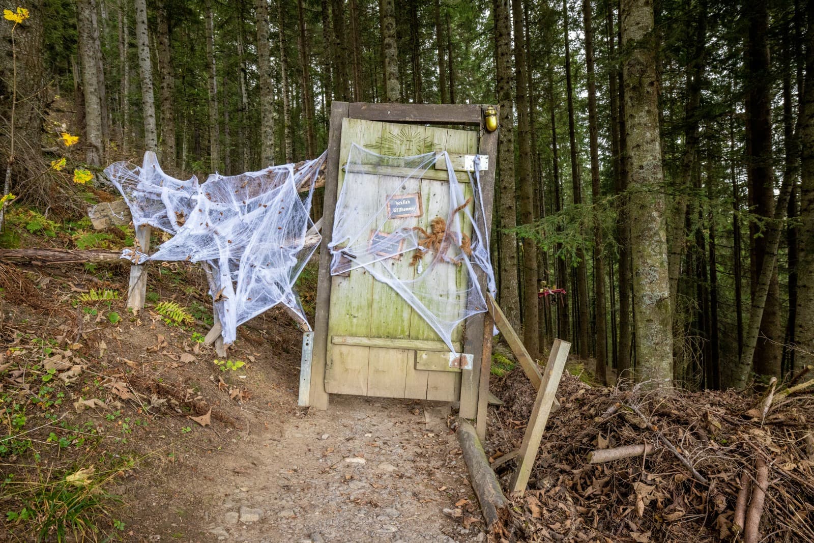 Erlebnisreich Wirzweli (Dallenwil, NW) – Bild 2