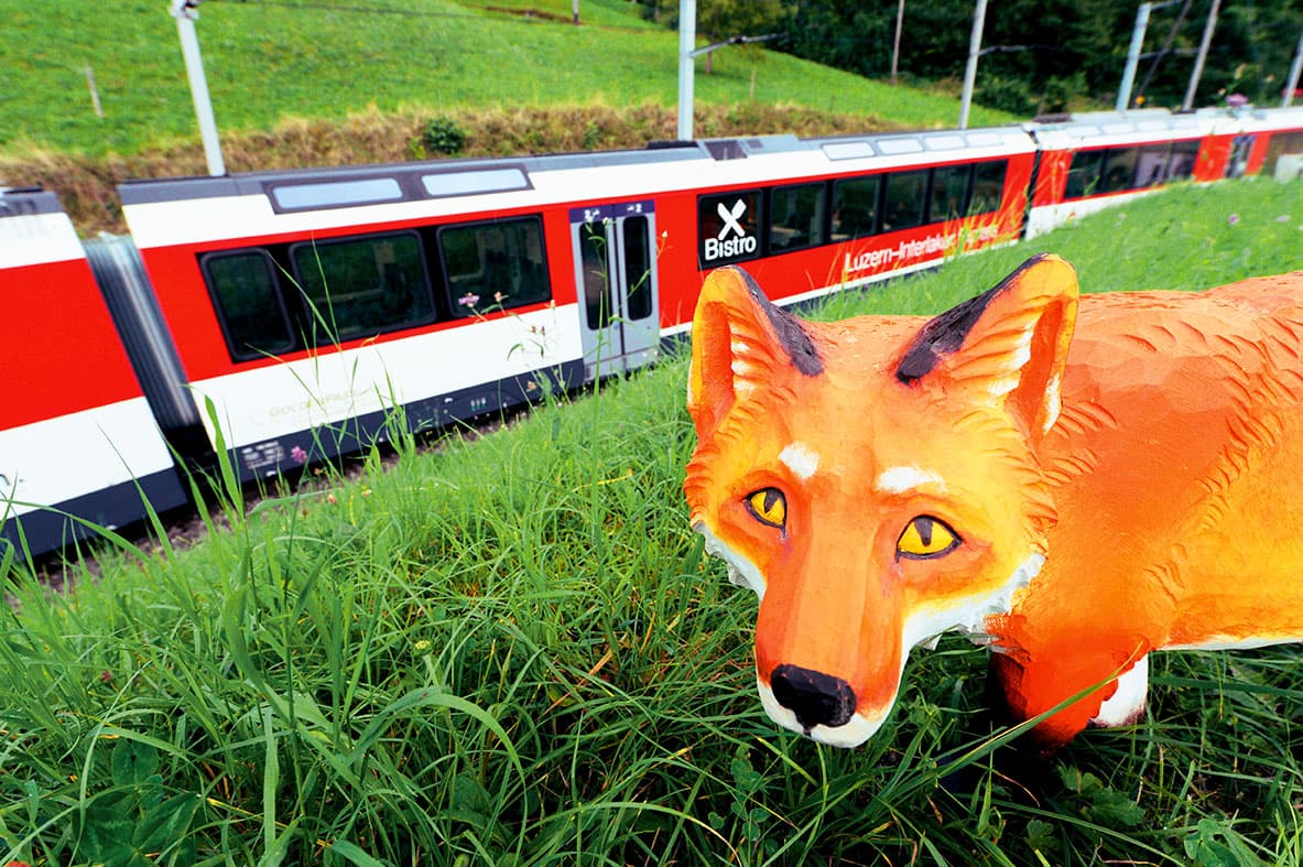 Brünig Safari - eine tierische Fahrt – Bild 2