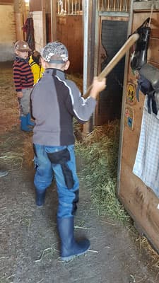Besichtigung auf dem Bauernhof - Hofstetten – Bild 2