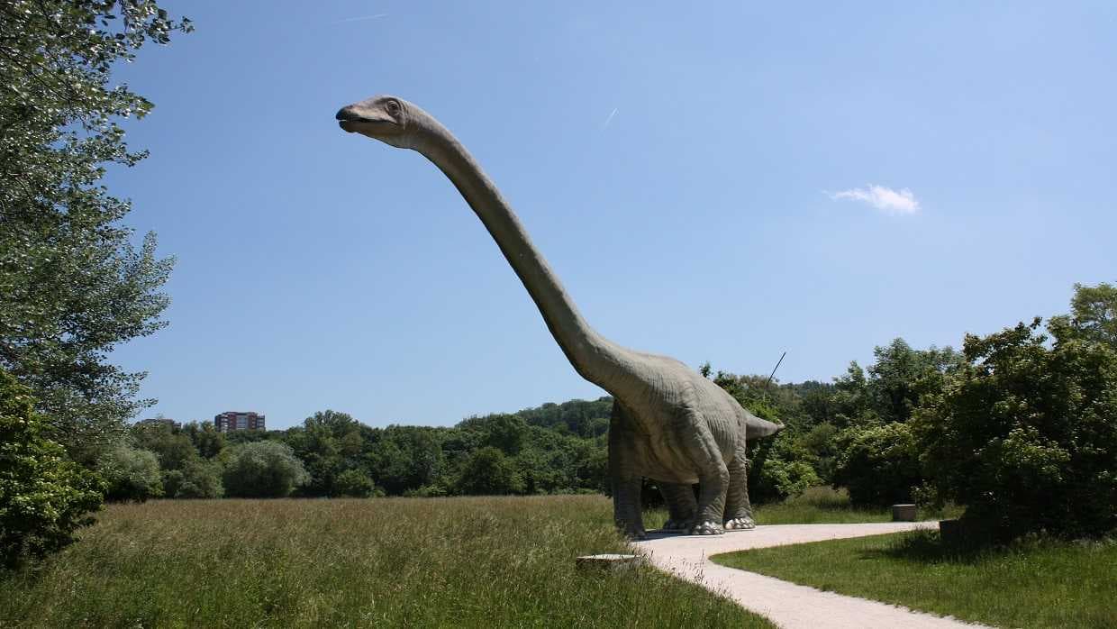 Park im Grünen (Seegarten) – Münchenstein (BL) – Bild 5