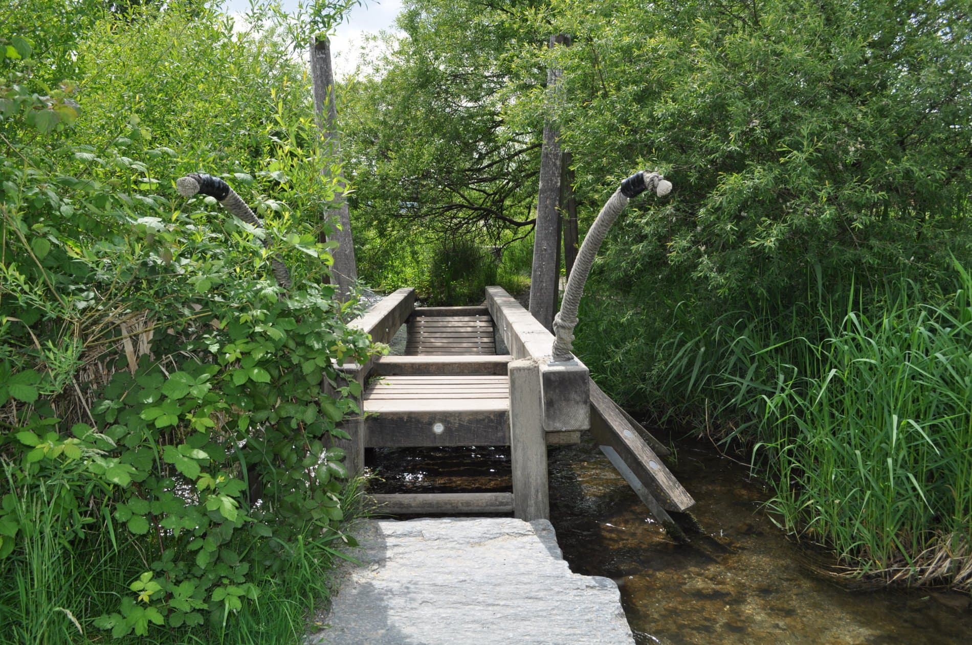 Erlebnisspielplatz Siehbach - Zug – Bild 2