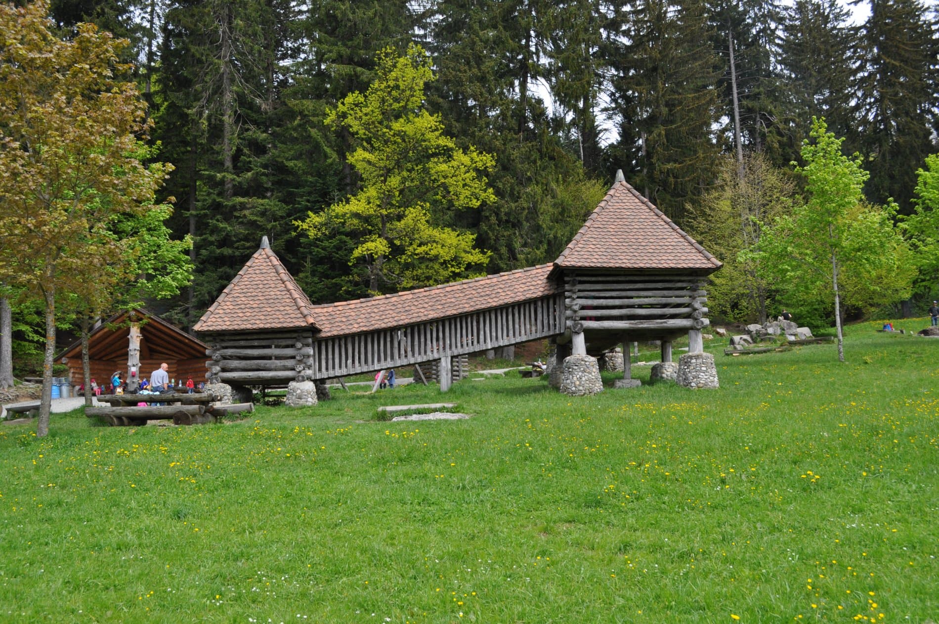 Abenteuerspielplatz Schattwäldli - Zugerberg – Bild 2