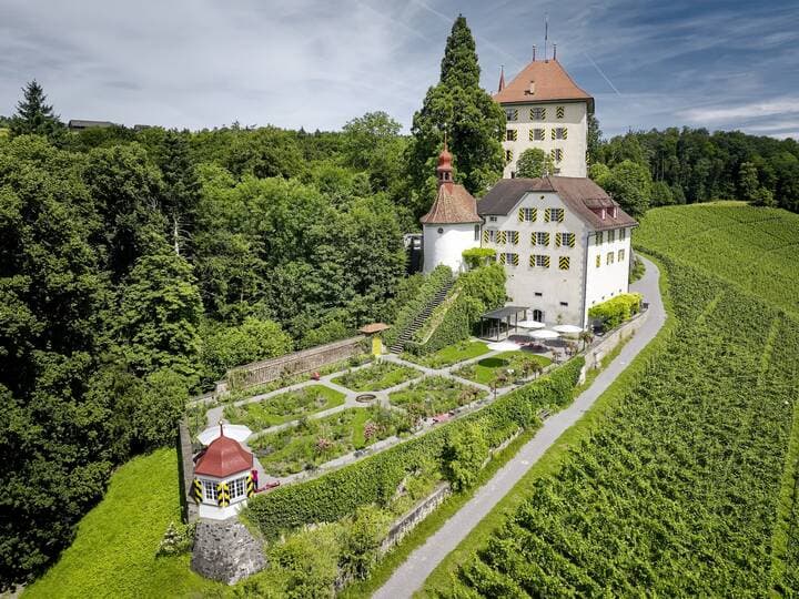 Schloss Heidegg: Ritterabenteuer und Rosenduft im Seetal – Bild 2