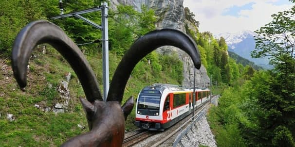 Brünig Safari - eine tierische Fahrt – Bild 1