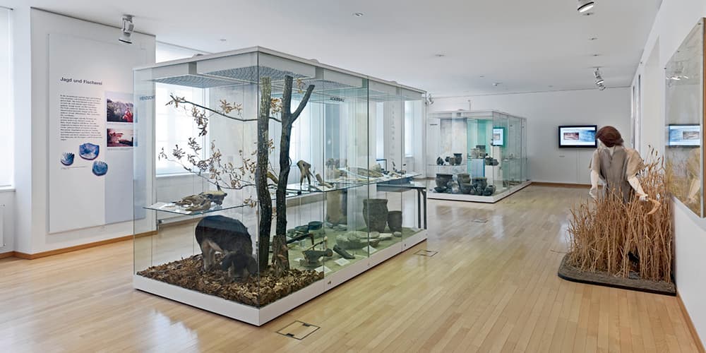 Naturmuseum Frauenfeld – Bild 5