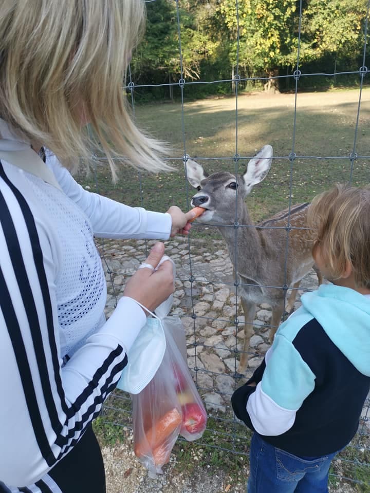 Tierpark Lange Erlen – Die grüne Oase im Kleinbasel – Bild 4