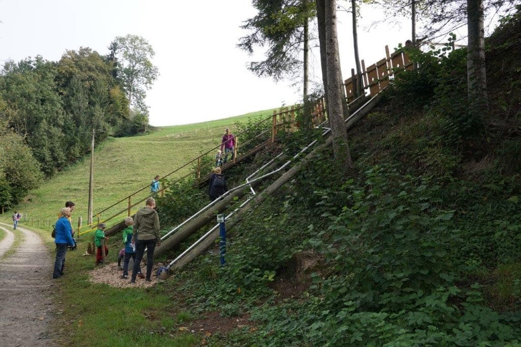 Chrüterhäxli Lilli Gwonderwäg – Bild 3