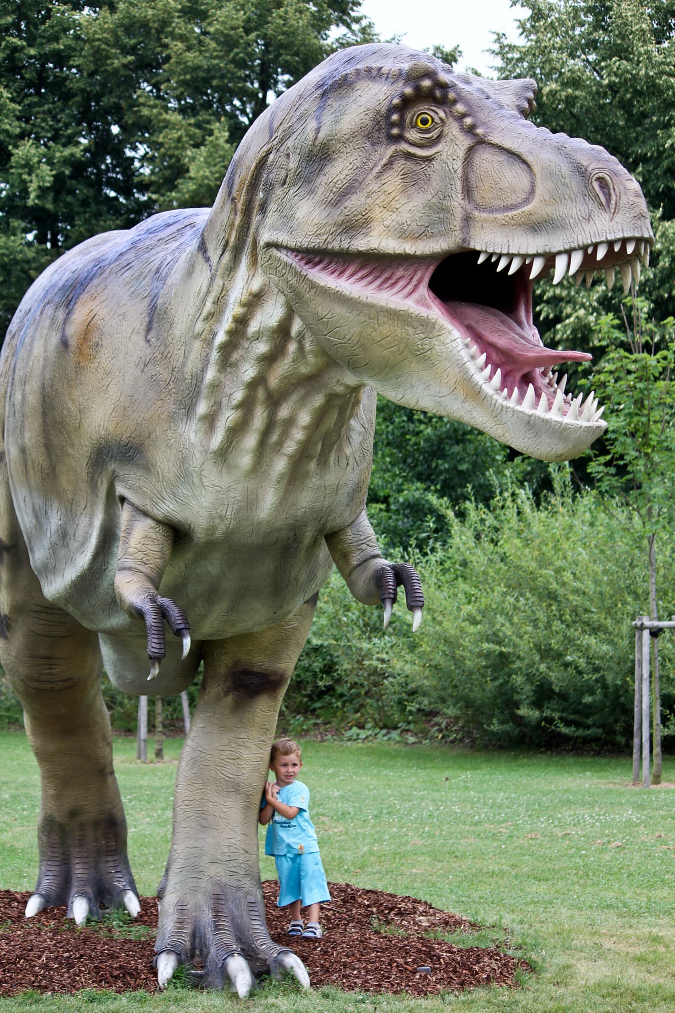 World of Dinosauriers – Bild 4