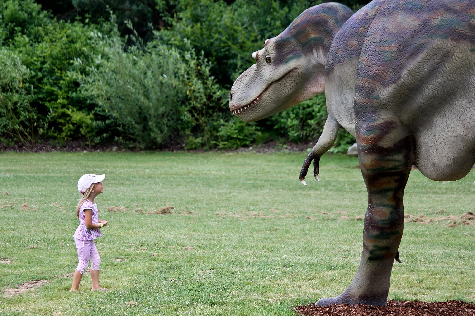 World of Dinosauriers – Bild 3