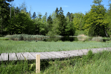 Chärwaldräuber-Erlebnispfad – Abenteuer im Kernwald – Bild 2
