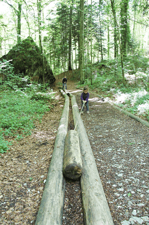 Chärwaldräuber-Erlebnispfad – Abenteuer im Kernwald – Bild 3