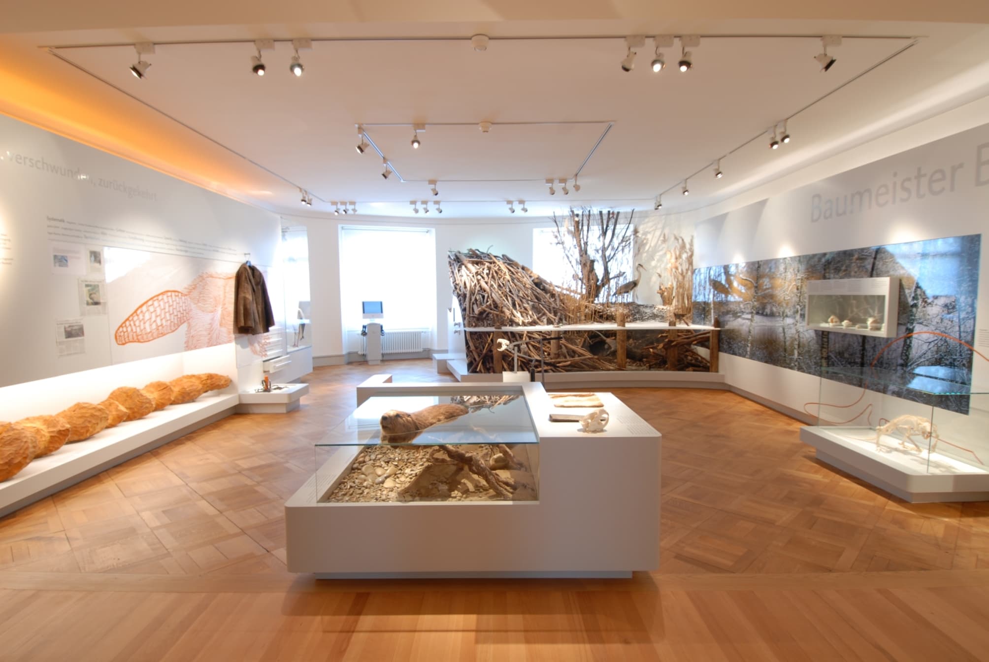 Naturmuseum Frauenfeld – Bild 4
