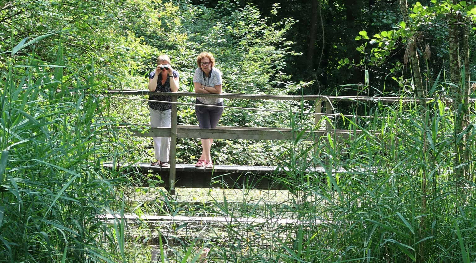 Naturzentrum Thurauen – Bild 4