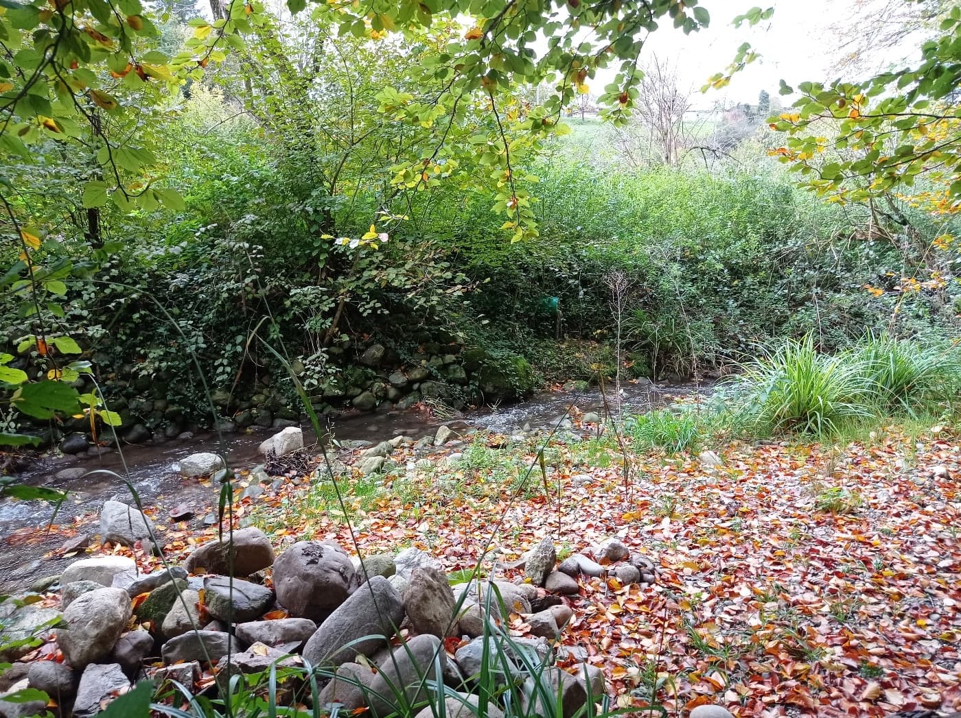 Benzenschwiler Kinderweg – Bild 1