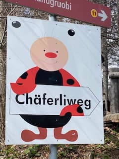 Chäferliweg - Illgau – Bild 1