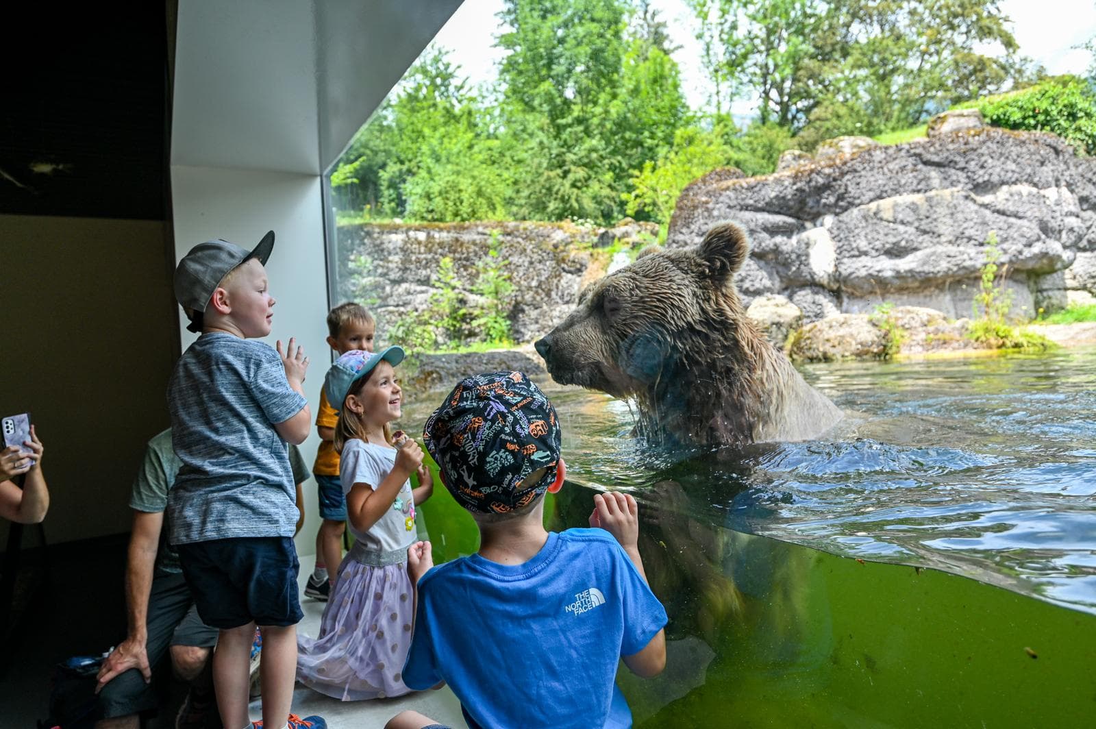 Natur- und Tierpark Goldau – Tiere hautnah erleben – Bild 4