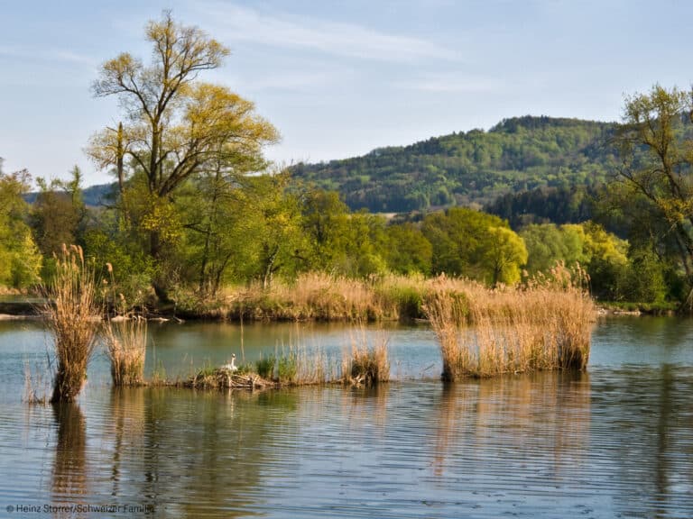 Naturzentrum Thurauen – Bild 2