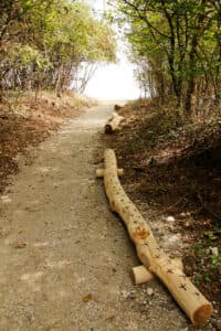 Zwergenweg Leuggern – Bild 4