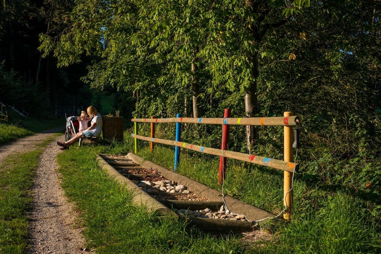 Chrüterhäxli Lilli Gwonderwäg – Bild 9