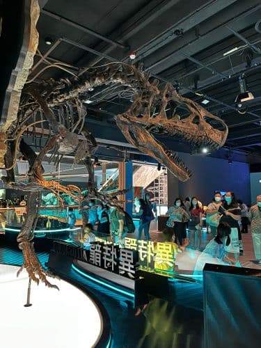 Dinosauriermuseum – Bild 1