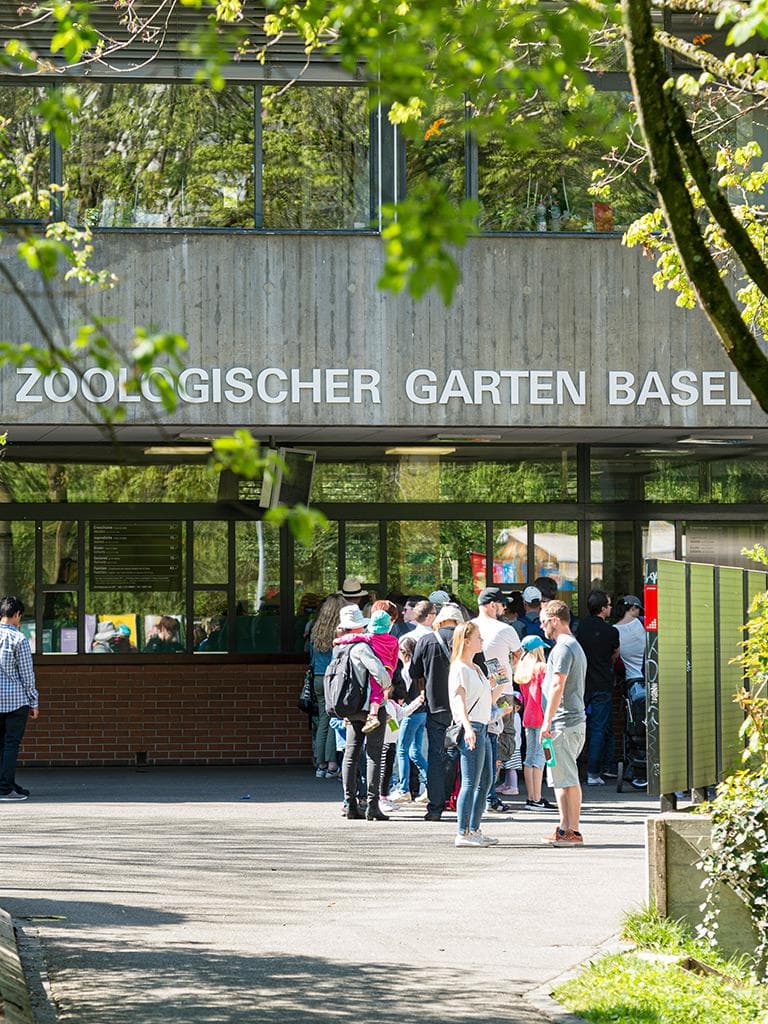 Zoo Basel – Eine tierische Stadtoase für die ganze Familie – Bild 3