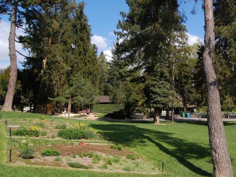 Park im Grüene (Dutti-Park) – Das Spielparadies über dem Zürichsee – Bild 1
