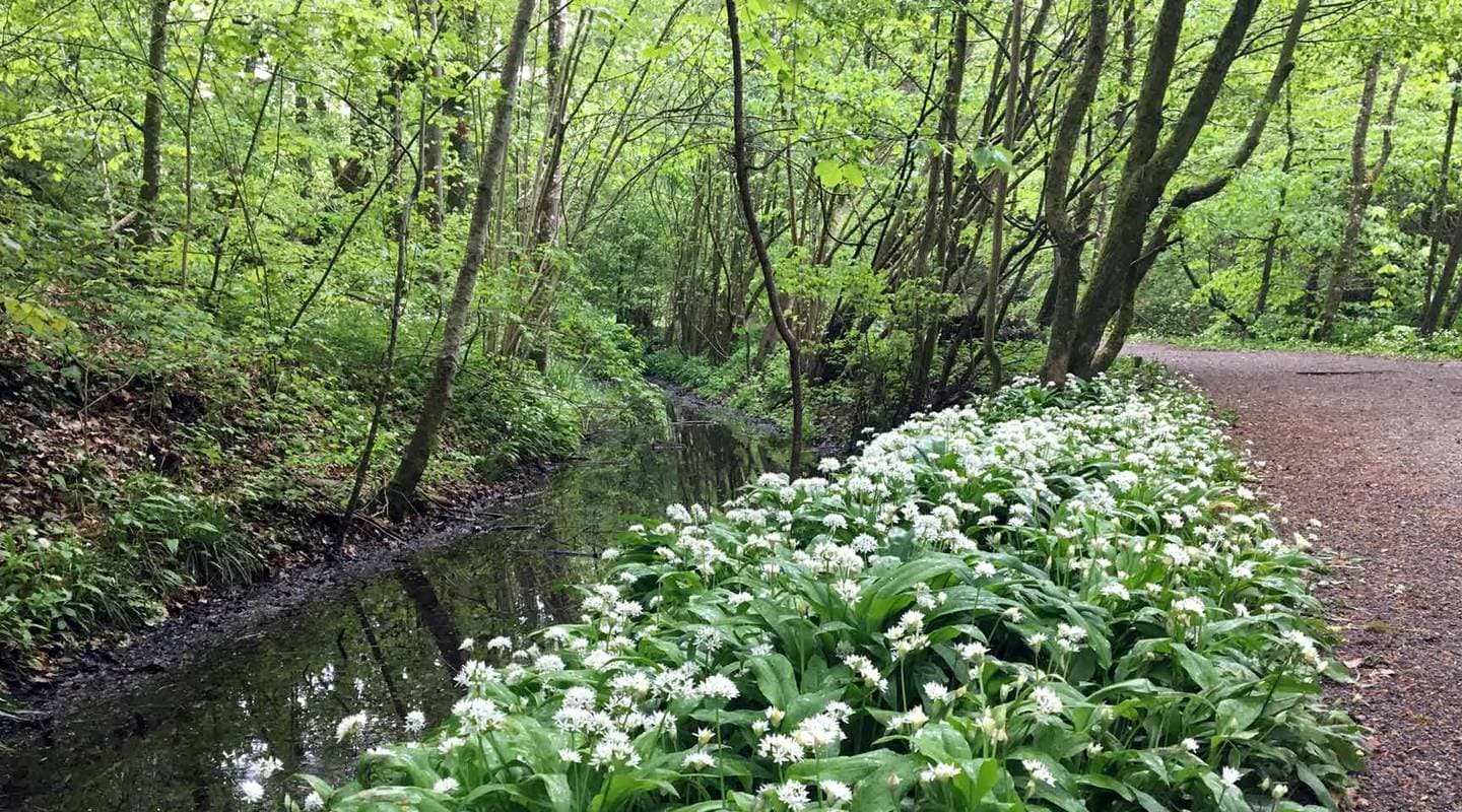 Naturlernort Haumüli
